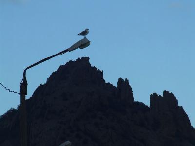 Прикрепленное изображение: bDSCF1094.jpg